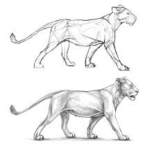 Lioness Practice Sketch By Mrxylax On Deviantart Pencil Drawings Of Animals Animal Drawings Animal Sketches