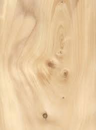 Wood Finder The Wood Database Softwood White Spruce Types Of Wood