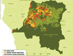 Tropical rainforest biomes are found in locations throughout the world in a band around the equator known as the tropics. Norwegian And French Governments Threaten World S Second Largest Tropical Rainforest Rainforest Foundation Uk