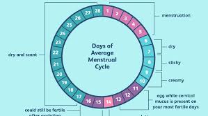 Normal discharge during pregnancy is clear or white and is known as leukorrhea. What Is Egg White Cervical Mucus Ewcm