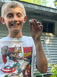 Pudding stones and jasper found in Michigan