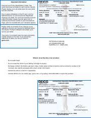 Geico offers personal property and casualty insurance along with life insurance and retirement. 4343045219 Policy Number 19 Dear Policyholder Policy Identification Cards Insurance Id Cards Have Been Provided For Each Insured Vehicle Any Course Hero