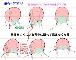 アオリ フカンを克服する 頭部 顔の描き方 漫画素材工房 manga materials 顔 描き方 頭のスケッチ 解剖学のチュートリアル