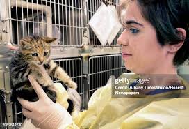 211 Croteau Stock Photos, High-Res Pictures, and Images