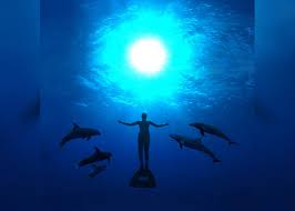 And another streaming service contender enters the arena. 30 Best Nature Documentaries Of All Time Stacker