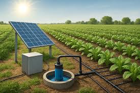 Solar Lift Irrigation System