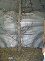 grain bin converted to coop building a chicken coop chicken coop urban chicken farming