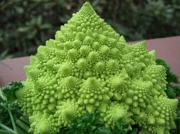 Romanesco, also known as roman broccoli and roman cabbage, is a cruciferous vegetable widely appreciated in italy and abroad. Romanesco Foto Bild Pflanzen Pilze Flechten Blumen Pflanzen Etc Natur Bilder Auf Fotocommunity