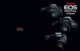 canon eos 40d professionals guide