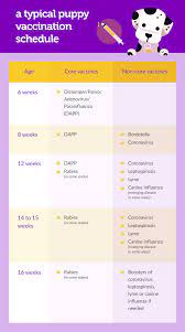 Puppy shots are at 8, 12, and 16 weeks and include several different types of vaccinations. First Set Of Puppy Shots Cheap Buy Online