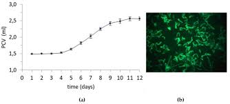 We did not find results for: Molecules Free Full Text Extracts From Cell Suspension Cultures Of Strawberry Fragaria X Ananassa Duch Cytotoxic Effects On Human Cancer Cells Html