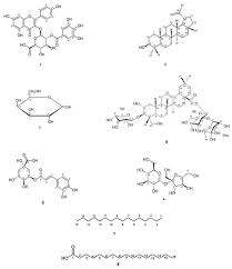 Image result for Breonadia