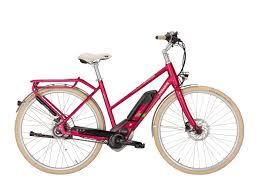 Wer ein pegasus fahrrad fährt hat sehr gute chancen ein glücklicher radfahrer zu werden. Pegasus Macaron E City E Bike 2017