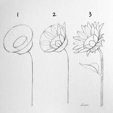 How To Draw Flowers Step By Step For Beginners How To Draw Flowers Watercolor In 2020 Flower Drawing Tutorials Easy Flower Drawings Flower Drawing