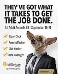 Maybe you would like to learn more about one of these? 9 Brilliant Dog Promotion Ideas Dog Adoption Animal Rescue Fundraising Puppy Adoption