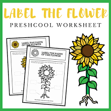 They are 3/4″ long and moving around inside the cup. Free Printable Parts Of A Flower Preschool Worksheet