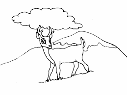 Voir plus d'idées sur le thème dessin, apprendre à dessiner, dessins faciles. Coloriage Chevreuil 2679 Animaux Album De Coloriages