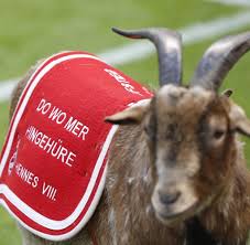 Seit fast einem jahr ist das wappentier des 1. Gladbach Fans Kolns Geissbock Hennes Unter Polizeischutz Welt
