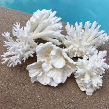 White coral reef decorations props. White Coral Pieces Set Of 5 Coral Craft Supply Beach Theme Etsy Coral Decor Beach Theme Wedding Cakes White Coral