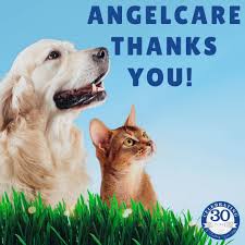 Angelcare Wants To Extend A Big Thank You To All Of Our Loyal Customers You Have All Been Patient And Understanding During In 2020 Animal Hospital Pet Care Your Pet