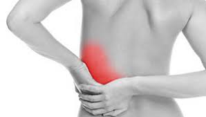 Thee are two organs in the left lower back : Effective Solutions For Lower Left Back Pain Musclecare