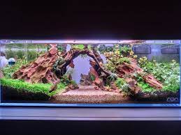 Amazing Clean And Clear Dragon Stone Aquascape Layout Aquascape Aquarium Amazing