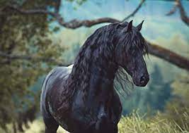 Image en coulere cheval au pat a imprimer gratuit : A1 Frison Etalon Noir Beaute Equine Imprimer 60 X 90cm 180gsm Cheval Wall Art 16227 Amazon Fr Cuisine Maison