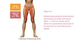 The groin muscles are a group of muscles situated high on the leg in the inner thigh. Groin Pain Structures And Conditions That Can Contribute To Groin Pain