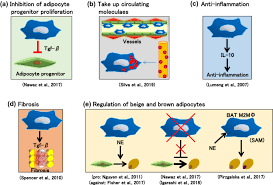 Image result for Beige 1972 Caloric