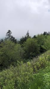 Jordan Hulse (@jordy_dan_)