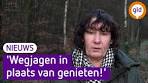 Wat moet je doen als je hond een wolf tegenkomt? - YouTube