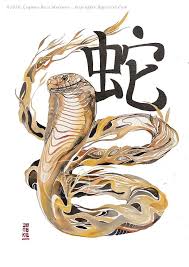 Year Of The Pig Chinese New Year Zodiac Drawings Chinese Zodiac Snake Chinese Zodiac Chinese New Year Zodiac