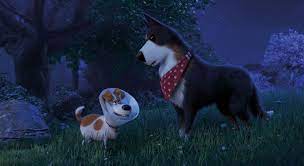 evcil hayvanlarin gizli yasami 2 the secret life of pets 2 aile komedi macera ve animasyon harrison ford evcil hayvanlar hayvan