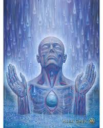 No Photo Description Available Alex Gray Art Art Sacred Geometry Art