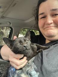 these two kittens need very special homes.... i honestly didn't even mean  to rescue them