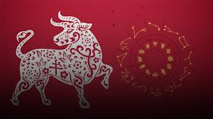 Goroskop 2021 Na Chto Nuzhno Obratit Vnimanie Kazhdomu Znaku Zodiaka V God Byka Mixnews
