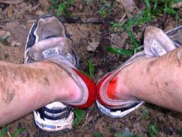 South east asia backpacker newsletter. Trekking In Taman Negara Malaysia S National Jungle See Her Travel