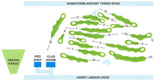 Most are small, so here we highlight the four major ones amu darya: Score Card Map Georges River Golf