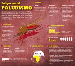 Posted at — mirta nuñez gudas — abril 25th, 2011 — 12:11 pm under celebración. En El Dia Mundial Del Paludismo Te Compartimos Esta Infografia Conoce Mas Acerca De Esta Enfermedad Diamundialdelpal Salud Ambiental Salud Salud Y Bienestar