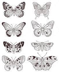 Pin By Ambri Case On Video Stock Butterfly Drawing Butterfly Tattoo Designs Butterfly Art