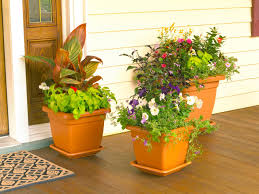 She shows you how to choose the color scheme, arrangement, and container that will fit your style. How To Design A Container Garden Hgtv