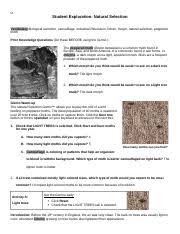 Download ebook natural and artificial selection gizmo answer key. Student Exploration Natural Selection 1brandon Trigg Doc Name Date Student Exploration Natural Selection Vocabulary Biological Evolution Camouflage Course Hero