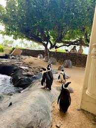 Image result for Regency D-810