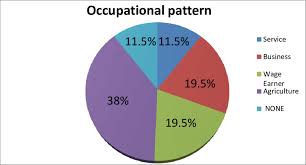 Figure No 4 Pie Chart Representation Of The Occupation