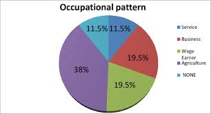 figure no 4 pie chart representation of the occupation