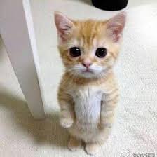 Sean Munster (seanmunster)