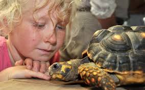 Hundreds enjoy some animal magic at Thompsons Pet Show