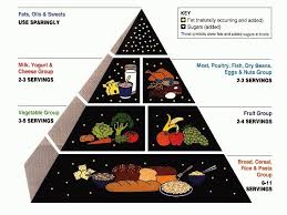 Illustrating Diet Advice Is Hard Heres How Usda Has Tried