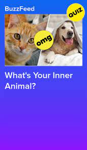 What S Your Inner Animal Animal Quiz Spirit Animal Quiz What S My Spirit Animal