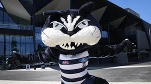 Geelong cats new era 9/40 snapback black/gold cap. Half Cat Steve Sobey To Stop Performing As Geelong Mascot After 24 Years Geelong Advertiser